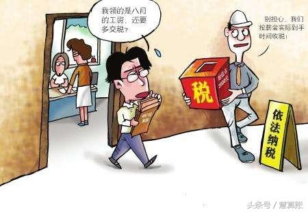 依法纳税 依法纳税