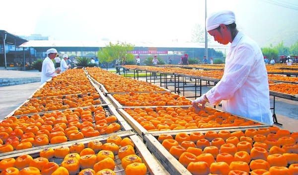 2017年农产品加工财税扶持政策大操盘，您享受到了吗？