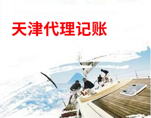 2.天津公司代理做账，这样的专业度包君满意